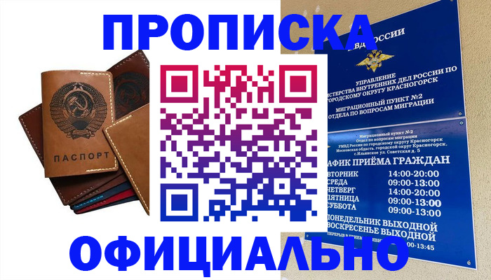 временная прописка в Змеиногорске